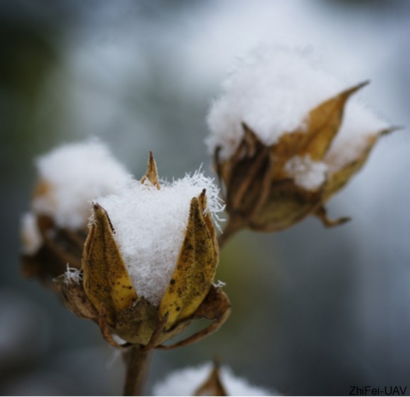 1500882664565293.png blob.png