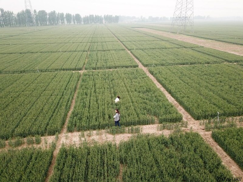 1526269213981034.jpg 河北智飛極農(nóng)無(wú)人機(jī)科技|一鳶科技|行業(yè)定制無(wú)人機(jī)